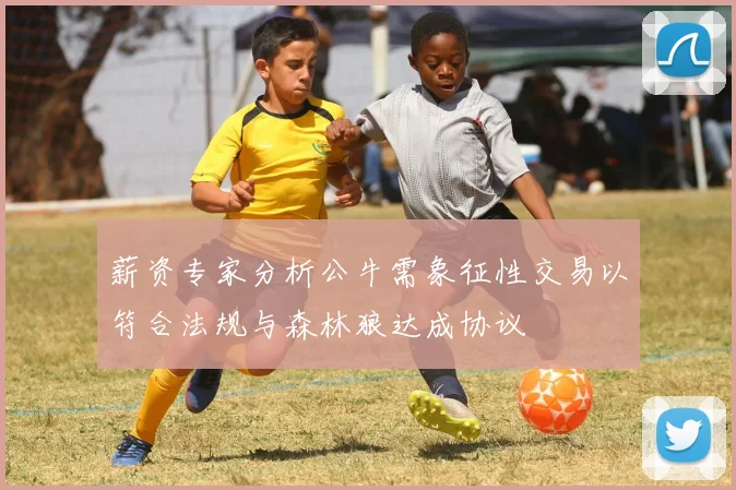 薪资专家分析公牛需象征性交易以符合法规与森林狼达成协议